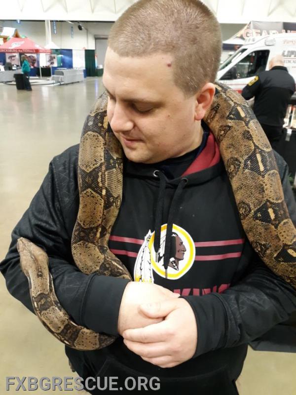 FPD Officer Wagner with a very contented boa.